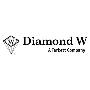 Damond W logo